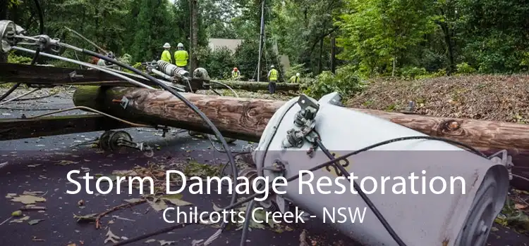 Storm Damage Restoration Chilcotts Creek - NSW