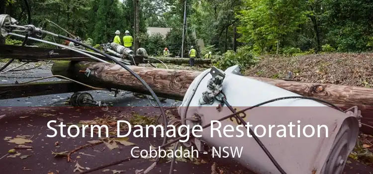 Storm Damage Restoration Cobbadah - NSW