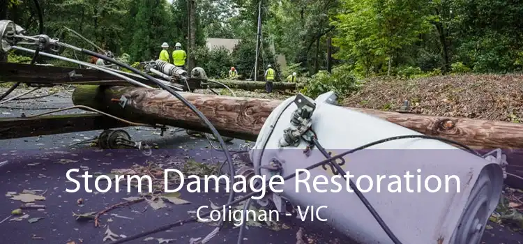 Storm Damage Restoration Colignan - VIC