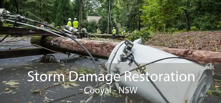 Storm Damage Restoration Cooyal - NSW