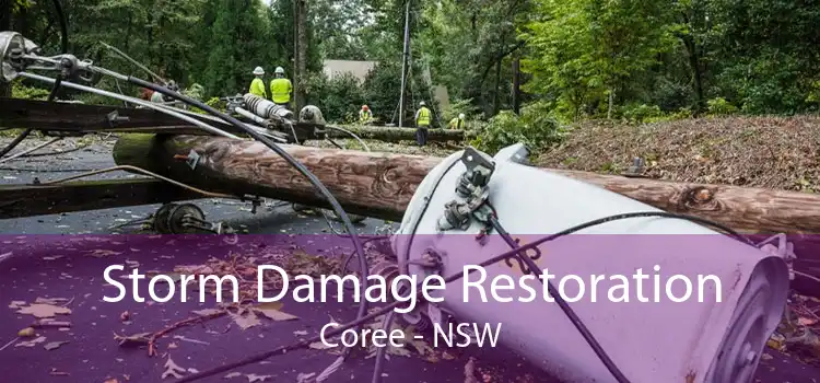Storm Damage Restoration Coree - NSW