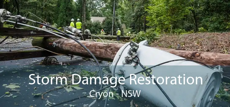 Storm Damage Restoration Cryon - NSW