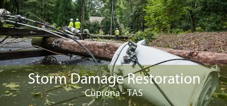 Storm Damage Restoration Cuprona - TAS