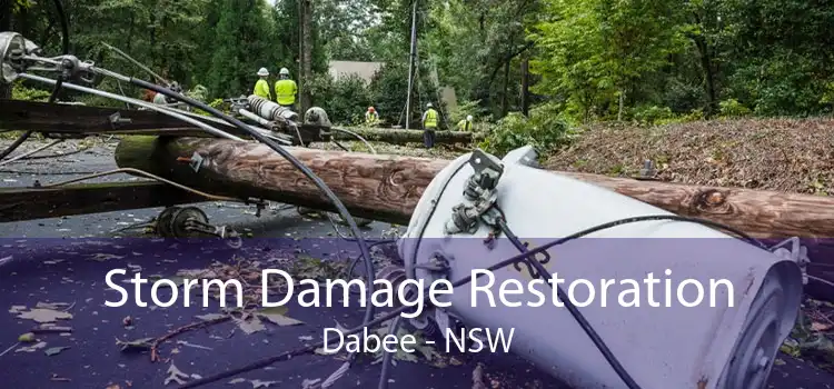 Storm Damage Restoration Dabee - NSW
