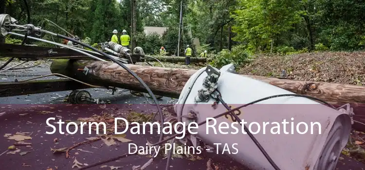 Storm Damage Restoration Dairy Plains - TAS