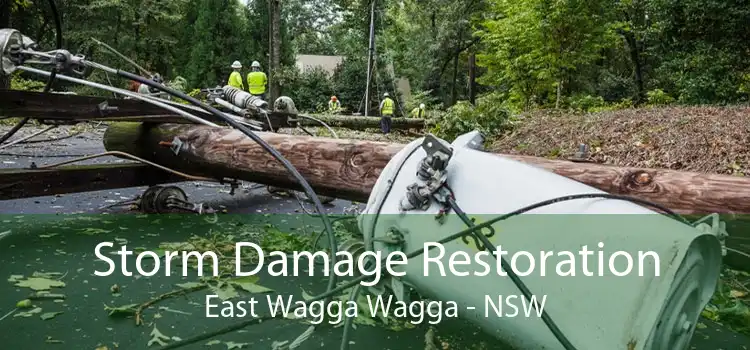 Storm Damage Restoration East Wagga Wagga - NSW