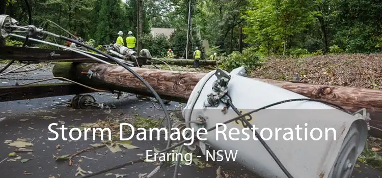 Storm Damage Restoration Eraring - NSW