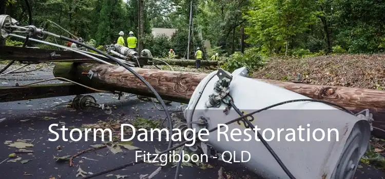 Storm Damage Restoration Fitzgibbon - QLD
