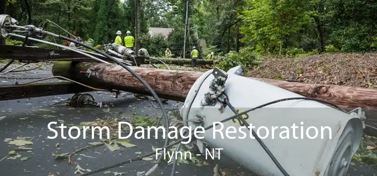 Storm Damage Restoration Flynn - NT