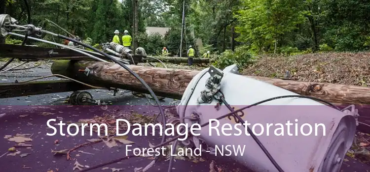 Storm Damage Restoration Forest Land - NSW
