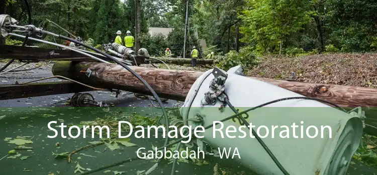 Storm Damage Restoration Gabbadah - WA