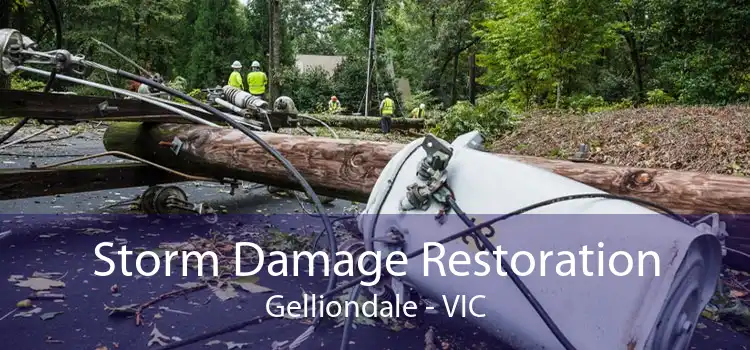 Storm Damage Restoration Gelliondale - VIC