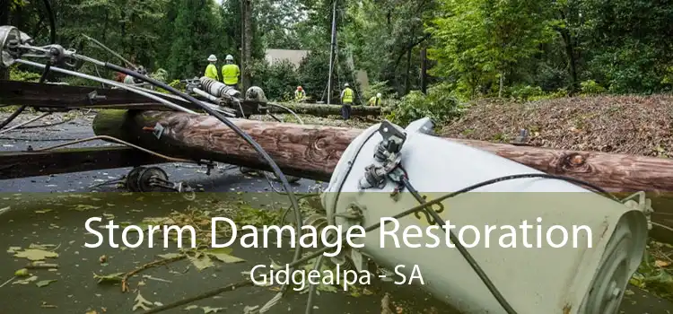 Storm Damage Restoration Gidgealpa - SA