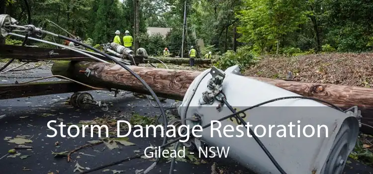 Storm Damage Restoration Gilead - NSW