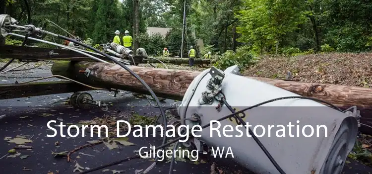Storm Damage Restoration Gilgering - WA