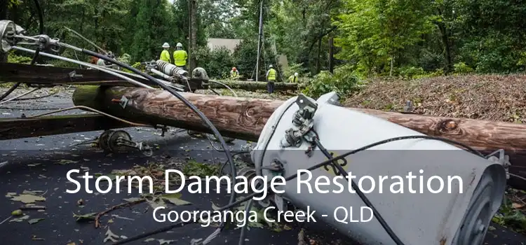 Storm Damage Restoration Goorganga Creek - QLD