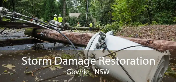 Storm Damage Restoration Gowrie - NSW