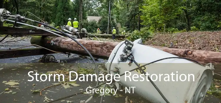 Storm Damage Restoration Gregory - NT