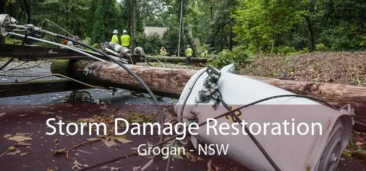 Storm Damage Restoration Grogan - NSW