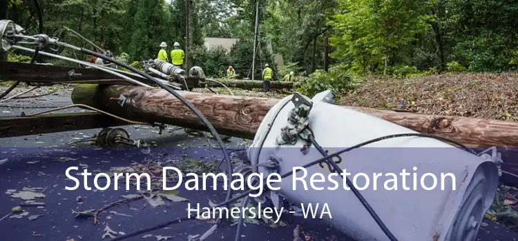 Storm Damage Restoration Hamersley - WA