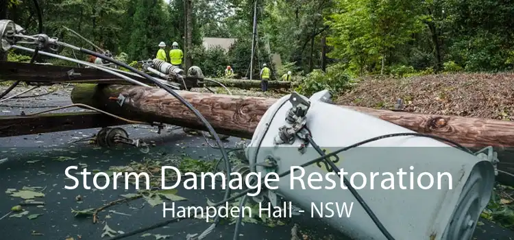Storm Damage Restoration Hampden Hall - NSW