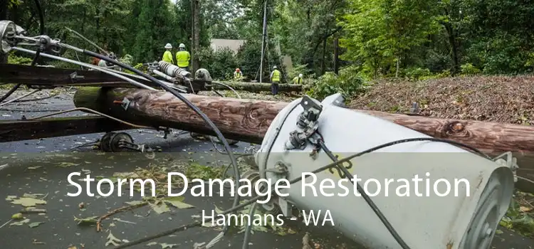 Storm Damage Restoration Hannans - WA