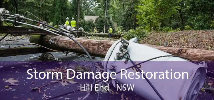 Storm Damage Restoration Hill End - NSW