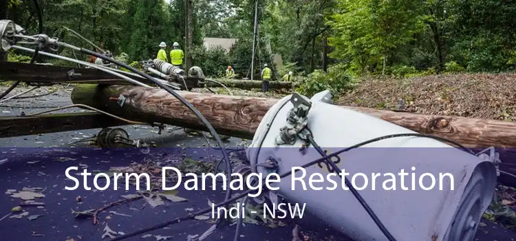 Storm Damage Restoration Indi - NSW