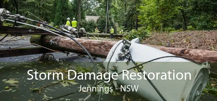 Storm Damage Restoration Jennings - NSW