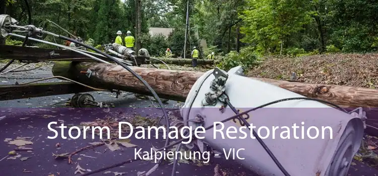 Storm Damage Restoration Kalpienung - VIC