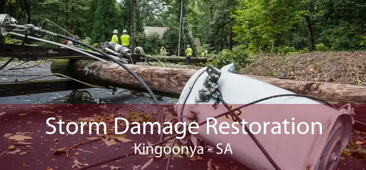 Storm Damage Restoration Kingoonya - SA