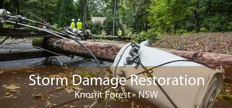 Storm Damage Restoration Knorrit Forest - NSW