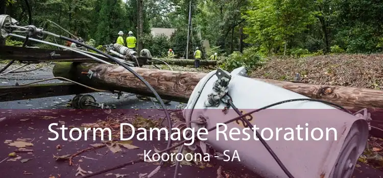 Storm Damage Restoration Kooroona - SA