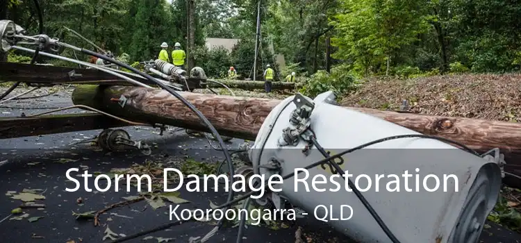 Storm Damage Restoration Kooroongarra - QLD