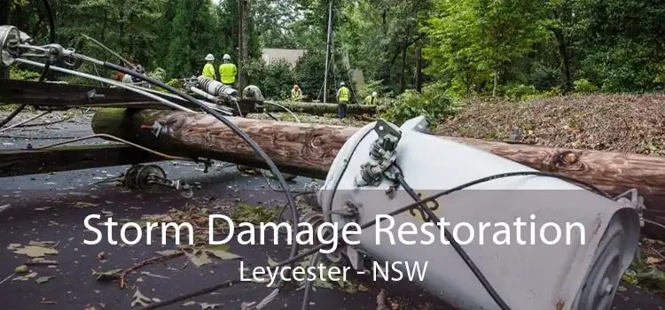 Storm Damage Restoration Leycester - NSW