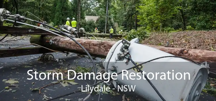 Storm Damage Restoration Lilydale - NSW