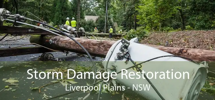 Storm Damage Restoration Liverpool Plains - NSW