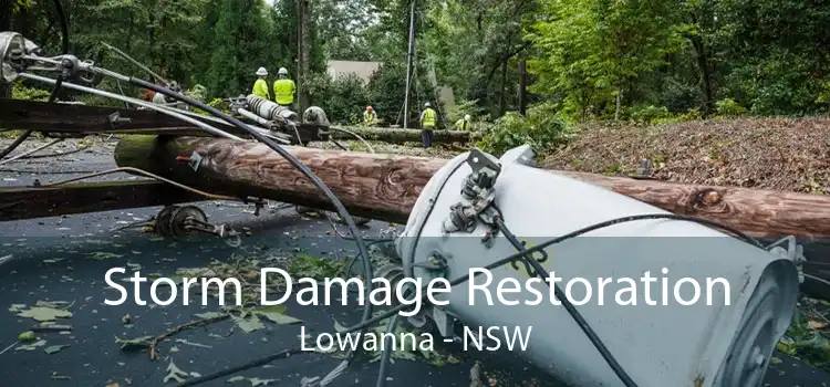 Storm Damage Restoration Lowanna - NSW