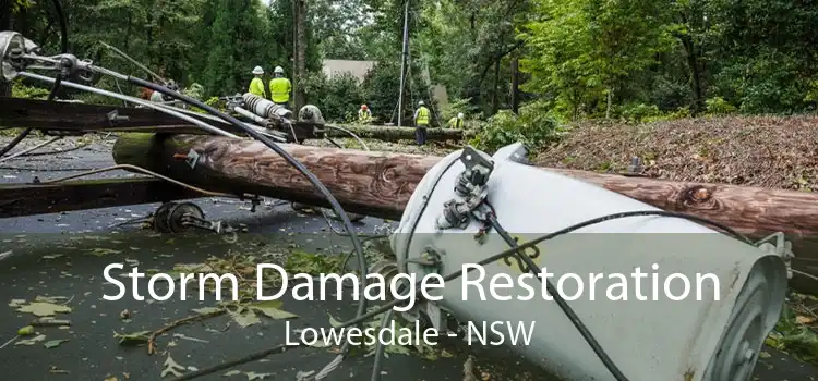 Storm Damage Restoration Lowesdale - NSW