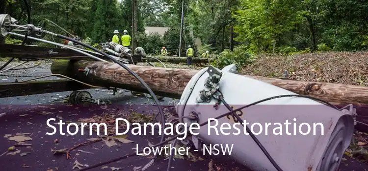 Storm Damage Restoration Lowther - NSW