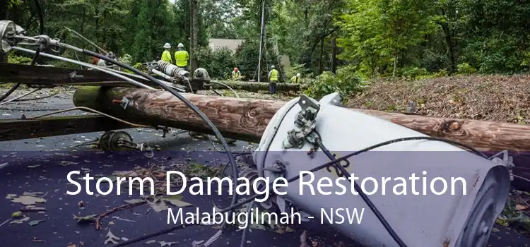 Storm Damage Restoration Malabugilmah - NSW