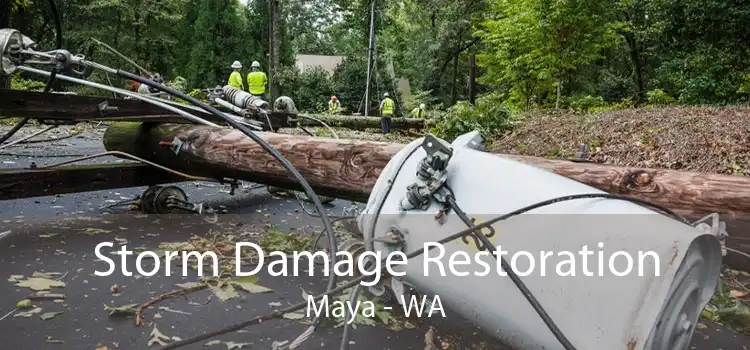 Storm Damage Restoration Maya - WA