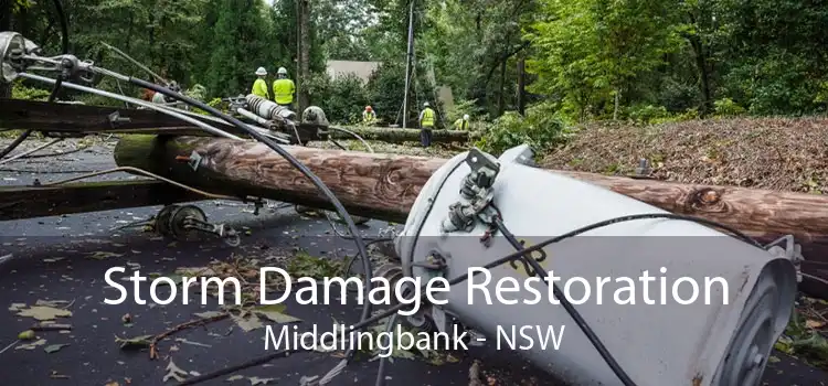 Storm Damage Restoration Middlingbank - NSW