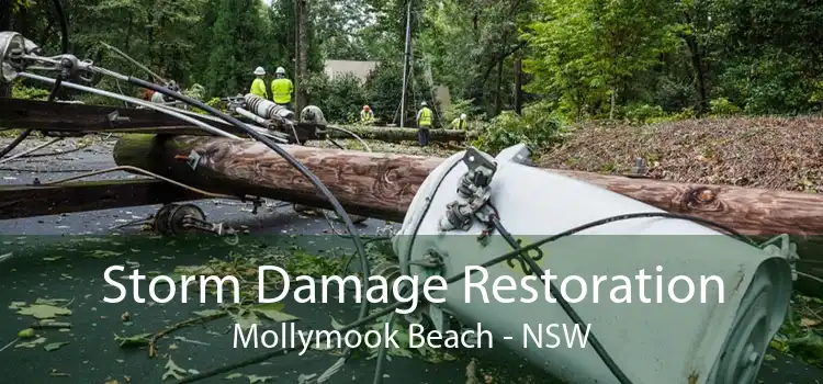 Storm Damage Restoration Mollymook Beach - NSW