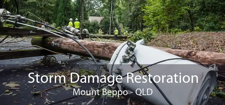 Storm Damage Restoration Mount Beppo - QLD