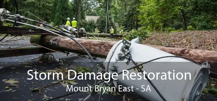 Storm Damage Restoration Mount Bryan East - SA