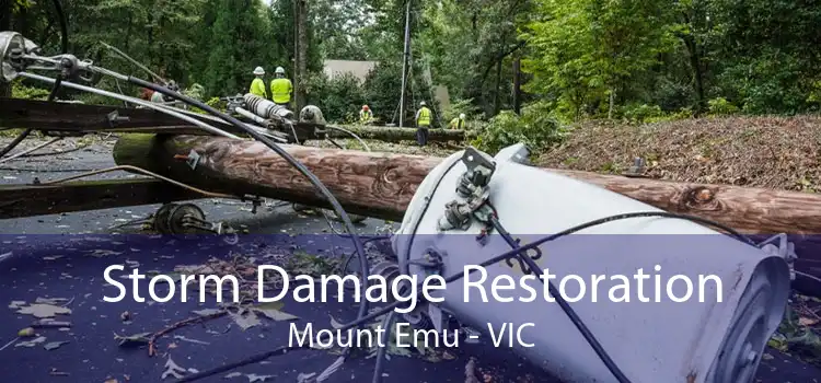 Storm Damage Restoration Mount Emu - VIC