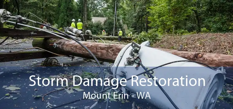 Storm Damage Restoration Mount Erin - WA