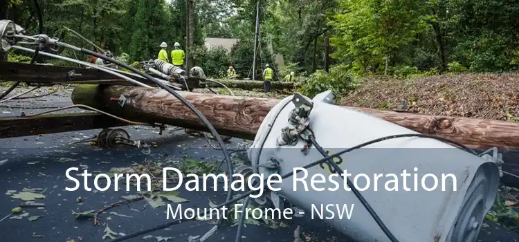 Storm Damage Restoration Mount Frome - NSW