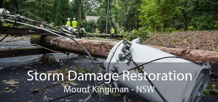 Storm Damage Restoration Mount Kingiman - NSW